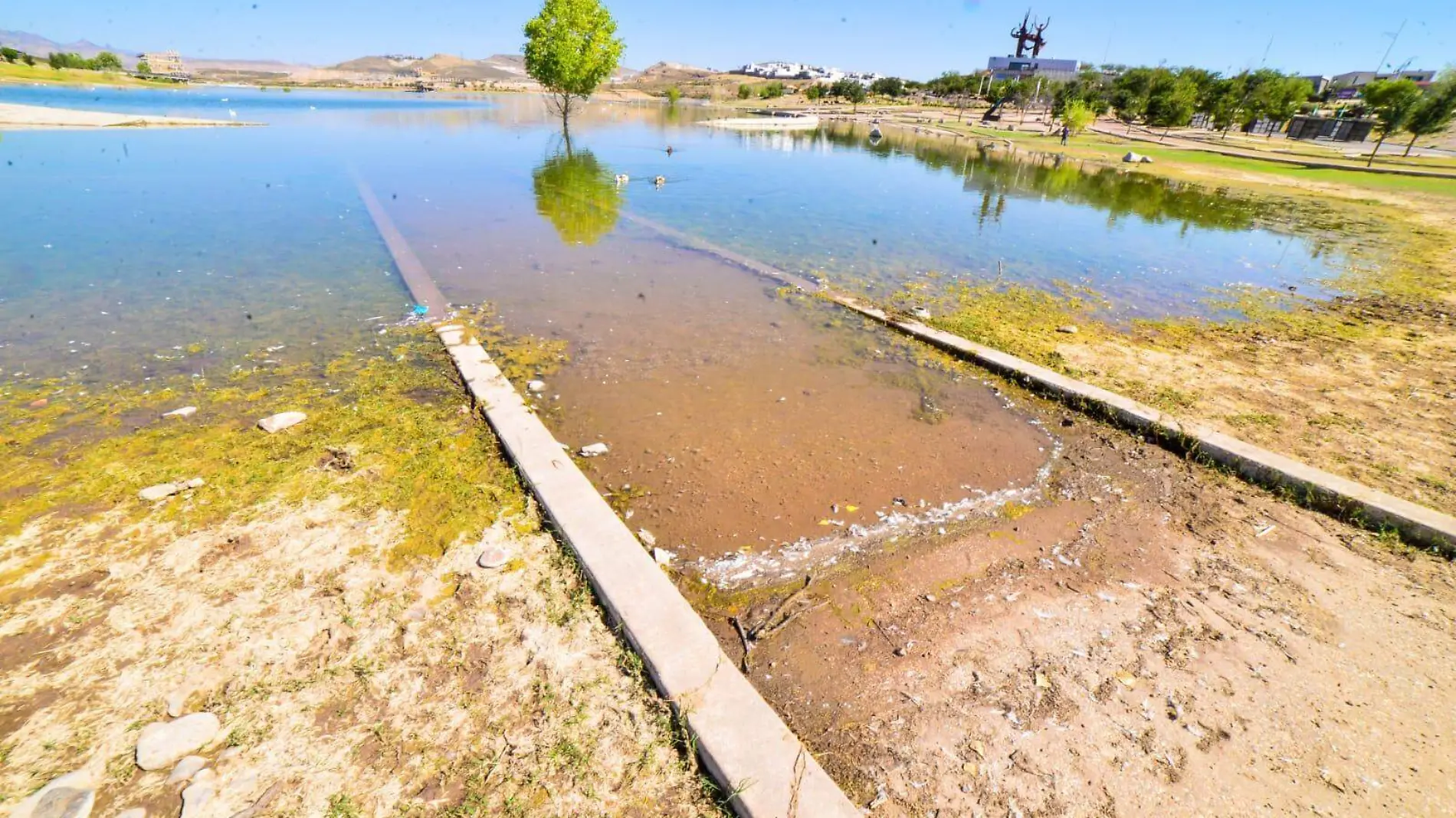 sequía agua presas 